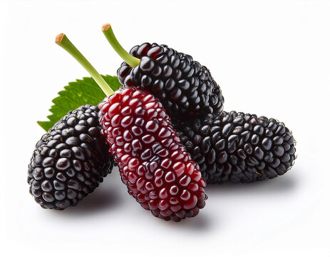 Fruits and Vegetables