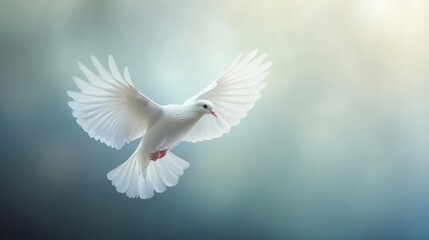 Obraz premium serene white dove in flight against ethereal background graceful wing position soft feather details symbolism of peace and hope minimalist composition gentle lighting