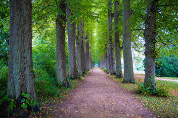 Obraz premium Allee im Park des Schlosses in Eutin, Schleswig-Holstein, Deutschland
