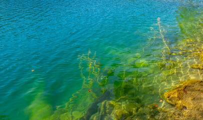 Blue Pond with tranquil transparent waters in the background. Beautiful nature lake. Landscape Reflection off of a clear lake water surface on a bright sunny day. Calm river in the forest.