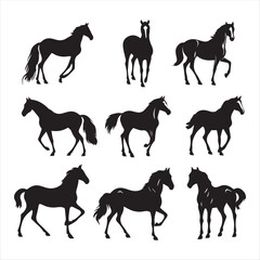 silhouette of a horse