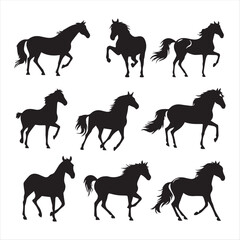 silhouette of a horse