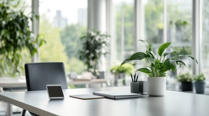 Fototapeta premium Modern office workspace featuring plants and minimalistic decor.