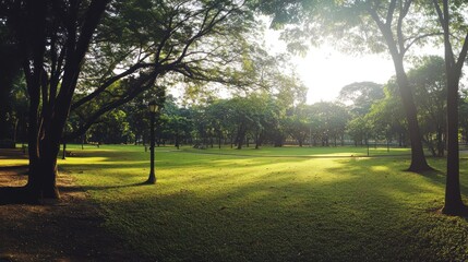Obraz premium A serene park scene with lush greenery and dappled sunlight filtering through the trees.
