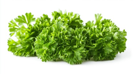Fototapeta premium Fresh Parsley Bunch Isolated on White Generative AI
