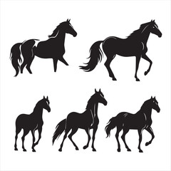 silhouette of a horse