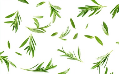 Obraz premium Scattered Rosemary Sprigs on White Background Generative AI