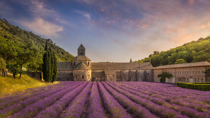 The Abbey of Senanque and the rows of lavender in bloom, panoramic view. Gordes, Vaucluse, Provence, France.