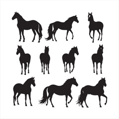 silhouette of a horse