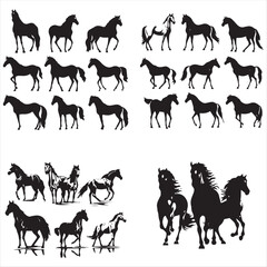 silhouette of a horse