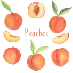 Set with watercolor peaches. Pieces of peaches, peach with leaves on a white background. Stock watercolor illustration