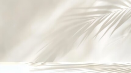 Obraz premium Minimalist Palm Leaf Shadow on White Background