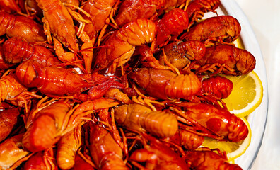 Boiled red crayfish on a plate.