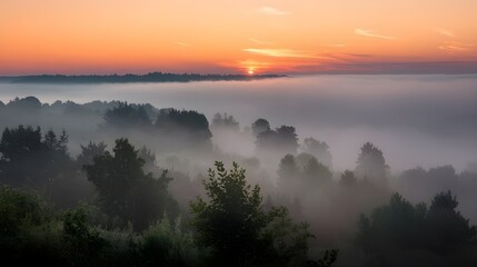 Misty Sunrise Over Forest.