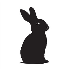 rabbit with a background