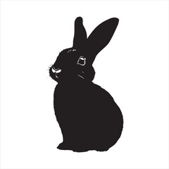 rabbit with a background