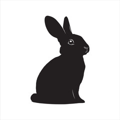 rabbit with a background