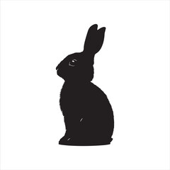 rabbit with a background