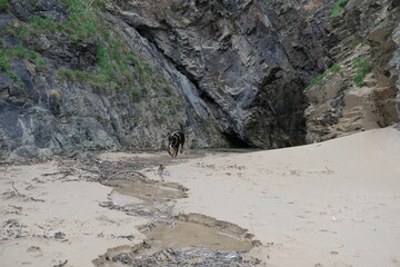 Dobermann at Tregirls Beach Padstow Cornwall UK Last day of September secluded beach at the mouth of the Camel Estuary