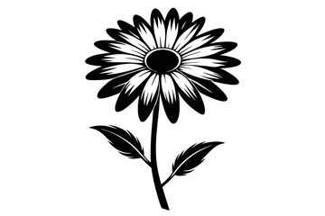  A Daisy flower silhouette black Vector art illustration