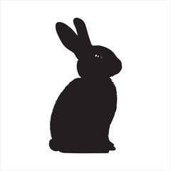 rabbit with a background