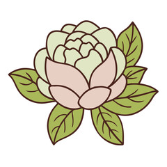 Obraz premium Vector Illustration of Pastel Peony Flower with Leaves for Floral Design Decor