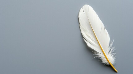 Obraz premium White feather on a grey background, simple and serene.