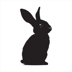 rabbit with a background