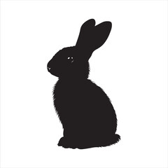 rabbit with a background