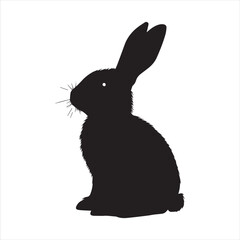 rabbit with a background