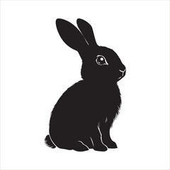 rabbit with a background