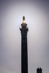 La Colonne de la Grande Armée en hommage à Napoléon Bonaparte
