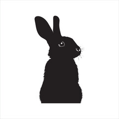 rabbit with a background