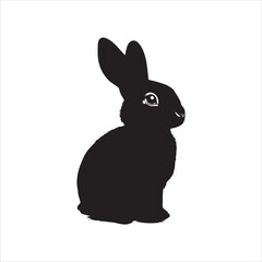 white rabbit isolated on white background