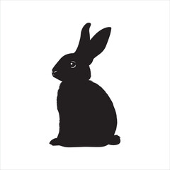 white rabbit isolated on white background