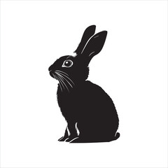 white rabbit isolated on white background