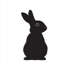 white rabbit isolated on white background