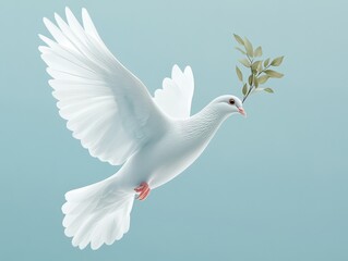 Obraz premium white dove on sky