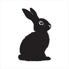 white rabbit isolated on white background