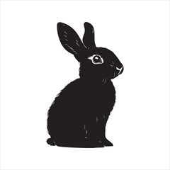 white rabbit isolated on white background