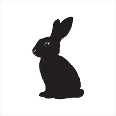 white rabbit isolated on white background
