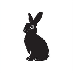 white rabbit isolated on white background