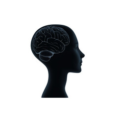Obraz premium Silhouette of a human head with a detailed brain illustration. transparent background