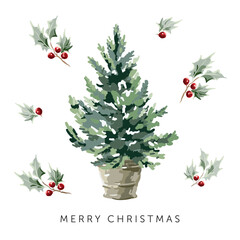 Christmas tree, holly twigs with red berries, text, white background. Design template for the card, poster, t shirt. Vector illustration. Forest nature. Winter holidays. Season greeting