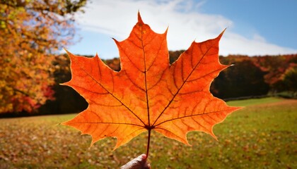 maple acer tree leaf, AI generated