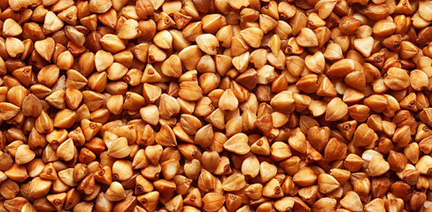 Buckwheat isolated on white background, full depth of field