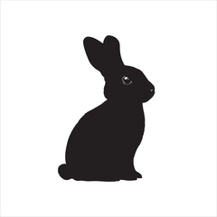 white rabbit isolated on white background