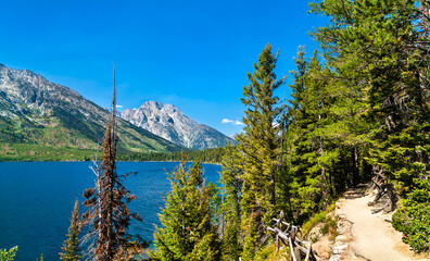 Jenny Lake trail at Grand Teton National Park in Wyoming, United States