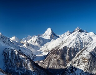 자연의 겨울 아름다움