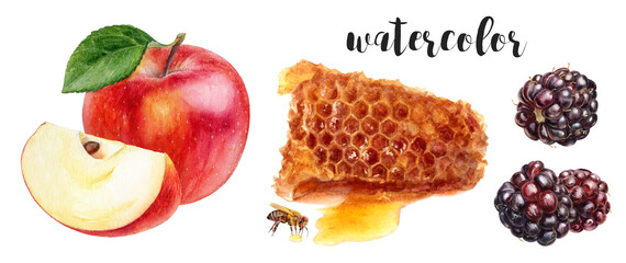 Hand-Painted Watercolor Apple, Honeycomb, and Blackberry Botanical Illustration